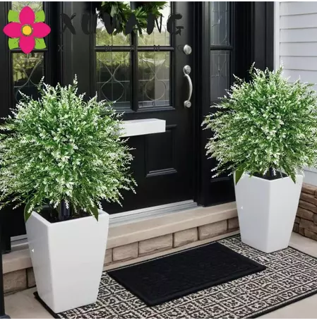 V&igrave; sao nh&agrave; gi&agrave;u đặt 2 chậu c&acirc;y trước cửa để tạo kh&ocirc;ng gian sống sang trọng? - Ảnh 1.