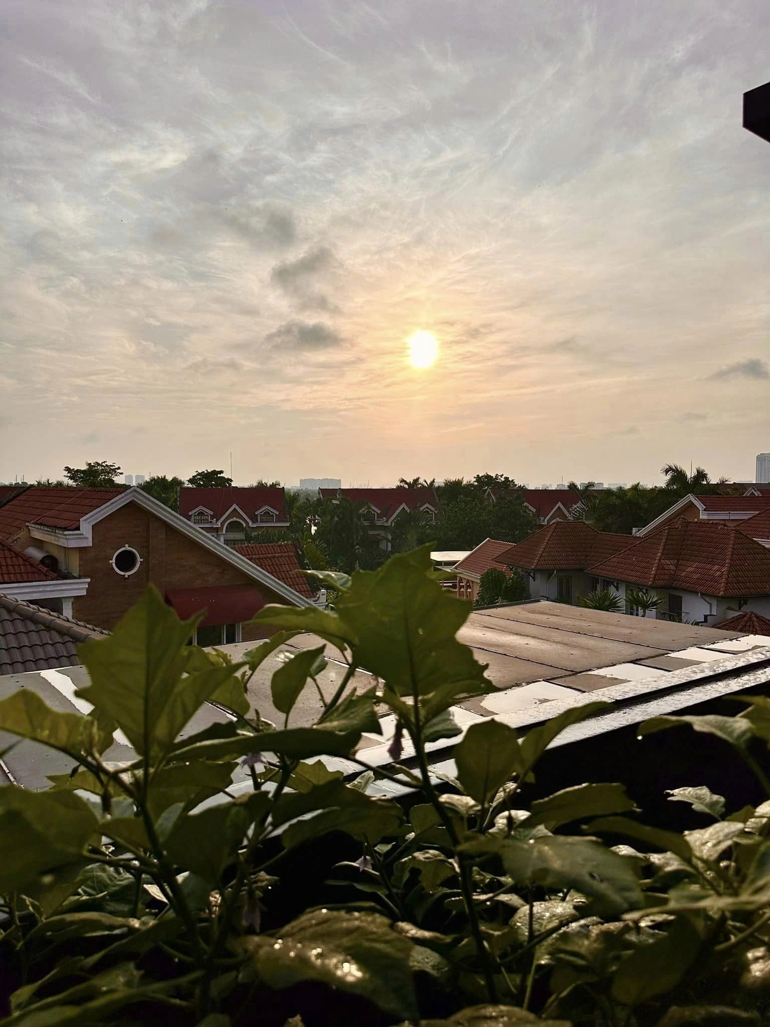 Diệp Bảo Ngọc: Mẹ đơn th&acirc;n, th&agrave;nh c&ocirc;ng với 3 c&ocirc;ng ty v&agrave; 4 phim trăm tỷ - Ảnh 10.