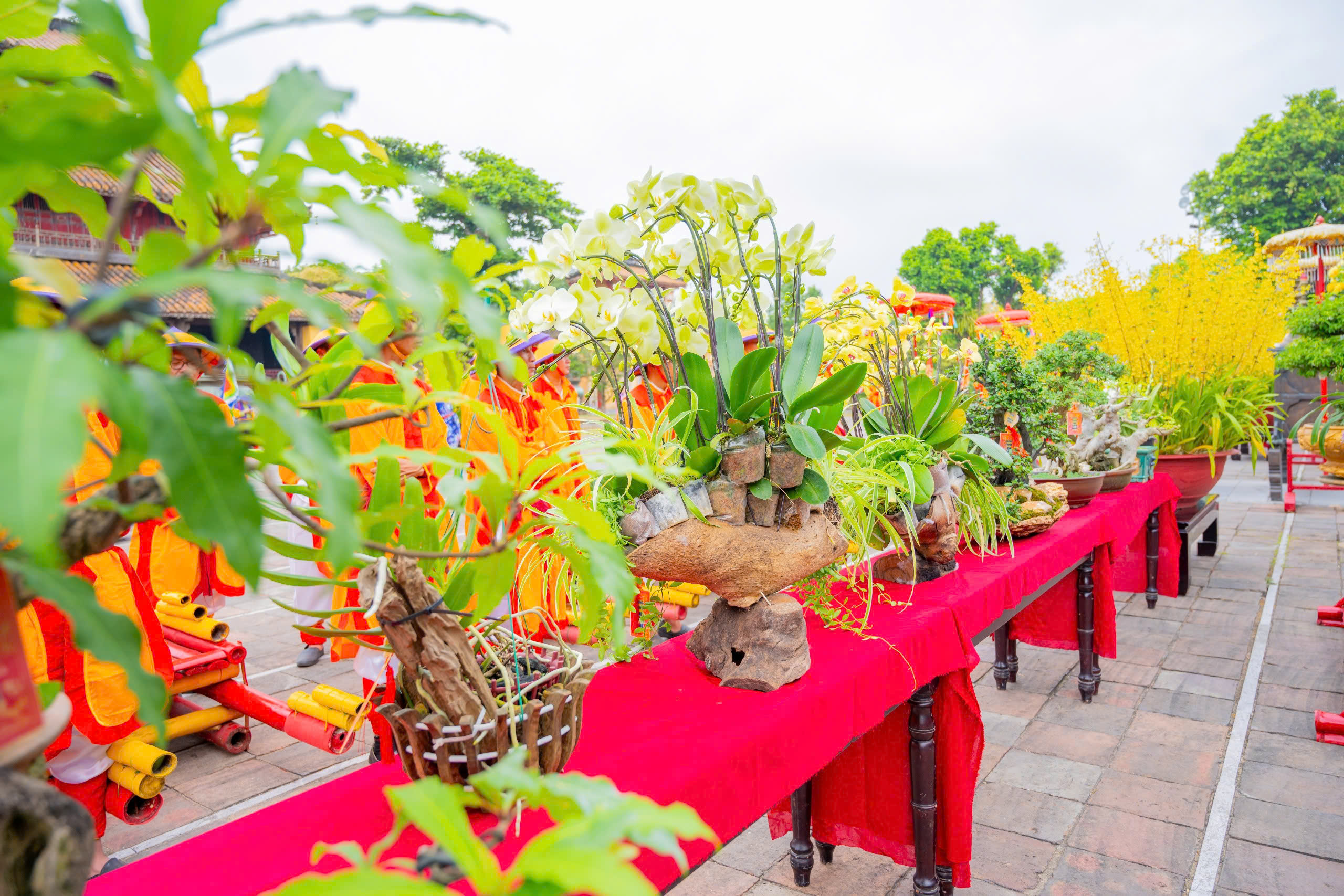 Chi&ecirc;m ngưỡng những t&aacute;c phẩm phong lan, c&acirc;y kiểng được d&acirc;ng tiến v&agrave;o Ho&agrave;ng cung Huế - Ảnh 5.