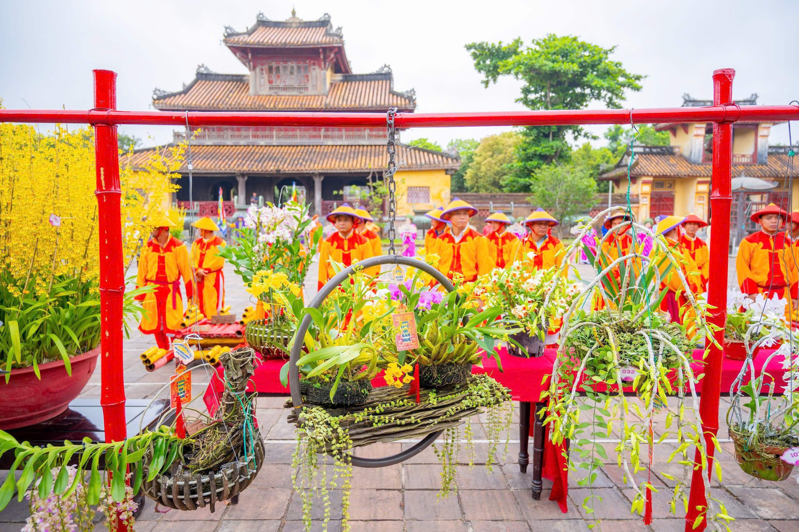 Chi&ecirc;m ngưỡng những t&aacute;c phẩm phong lan, c&acirc;y kiểng được d&acirc;ng tiến v&agrave;o Ho&agrave;ng cung Huế - Ảnh 4.