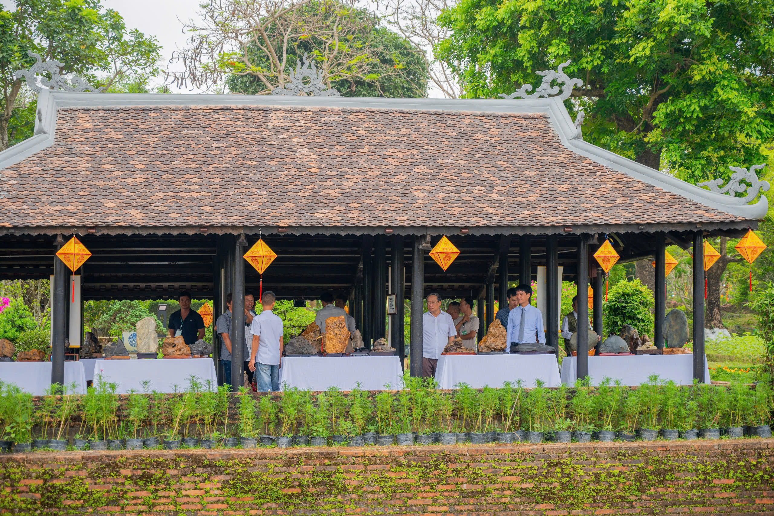 Chi&ecirc;m ngưỡng những t&aacute;c phẩm phong lan, c&acirc;y kiểng được d&acirc;ng tiến v&agrave;o Ho&agrave;ng cung Huế - Ảnh 8.