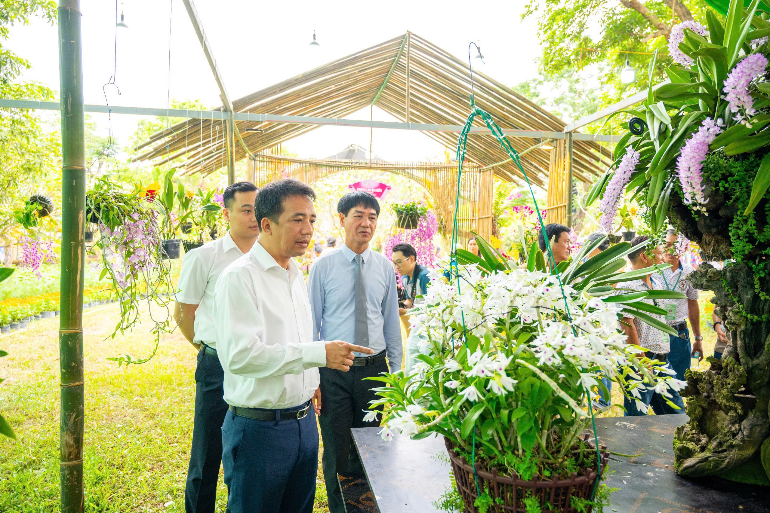 Chi&ecirc;m ngưỡng những t&aacute;c phẩm phong lan, c&acirc;y kiểng được d&acirc;ng tiến v&agrave;o Ho&agrave;ng cung Huế - Ảnh 9.