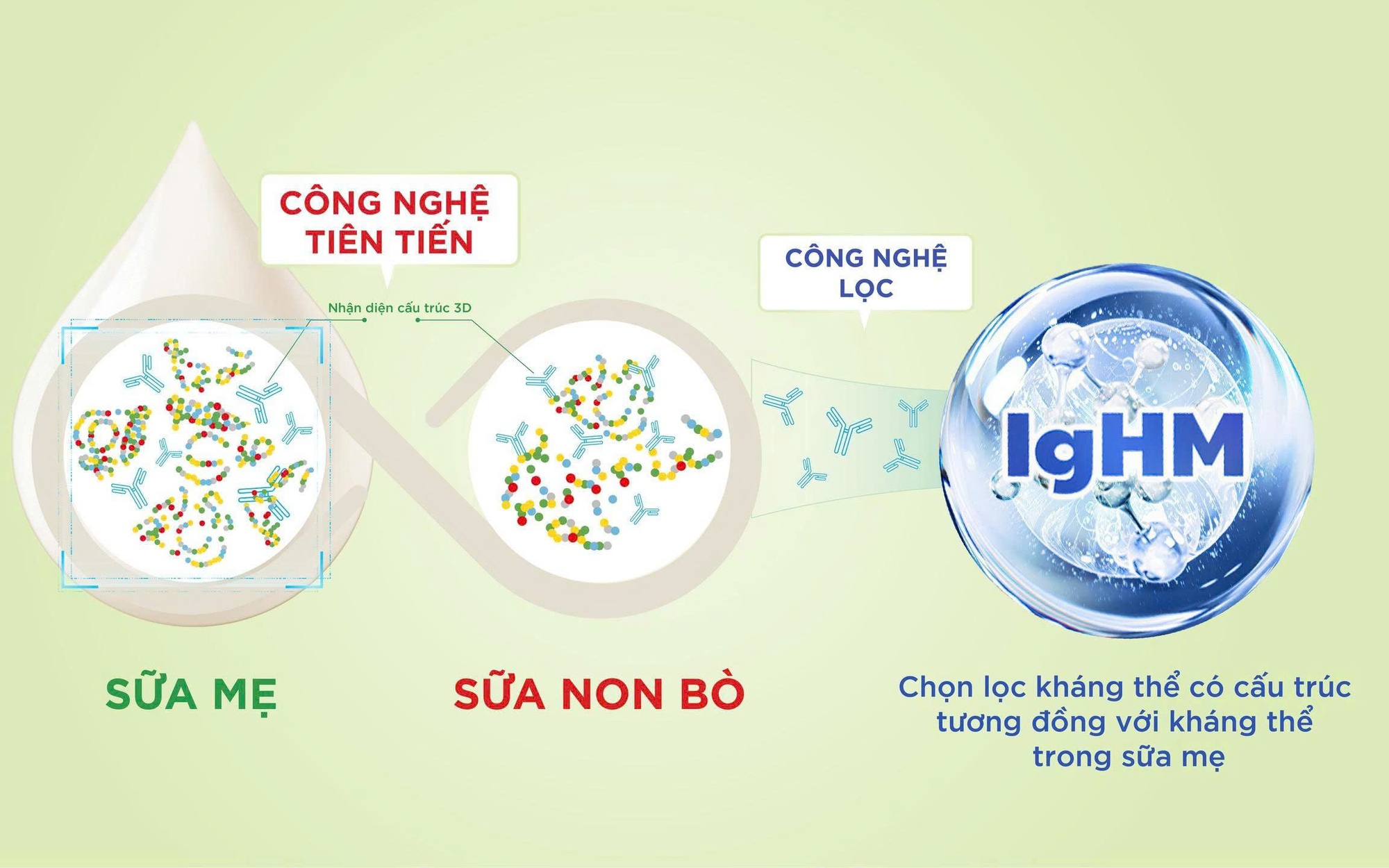 IGHM: Hướng tiếp cận mới trong dinh dưỡng miễn dịch