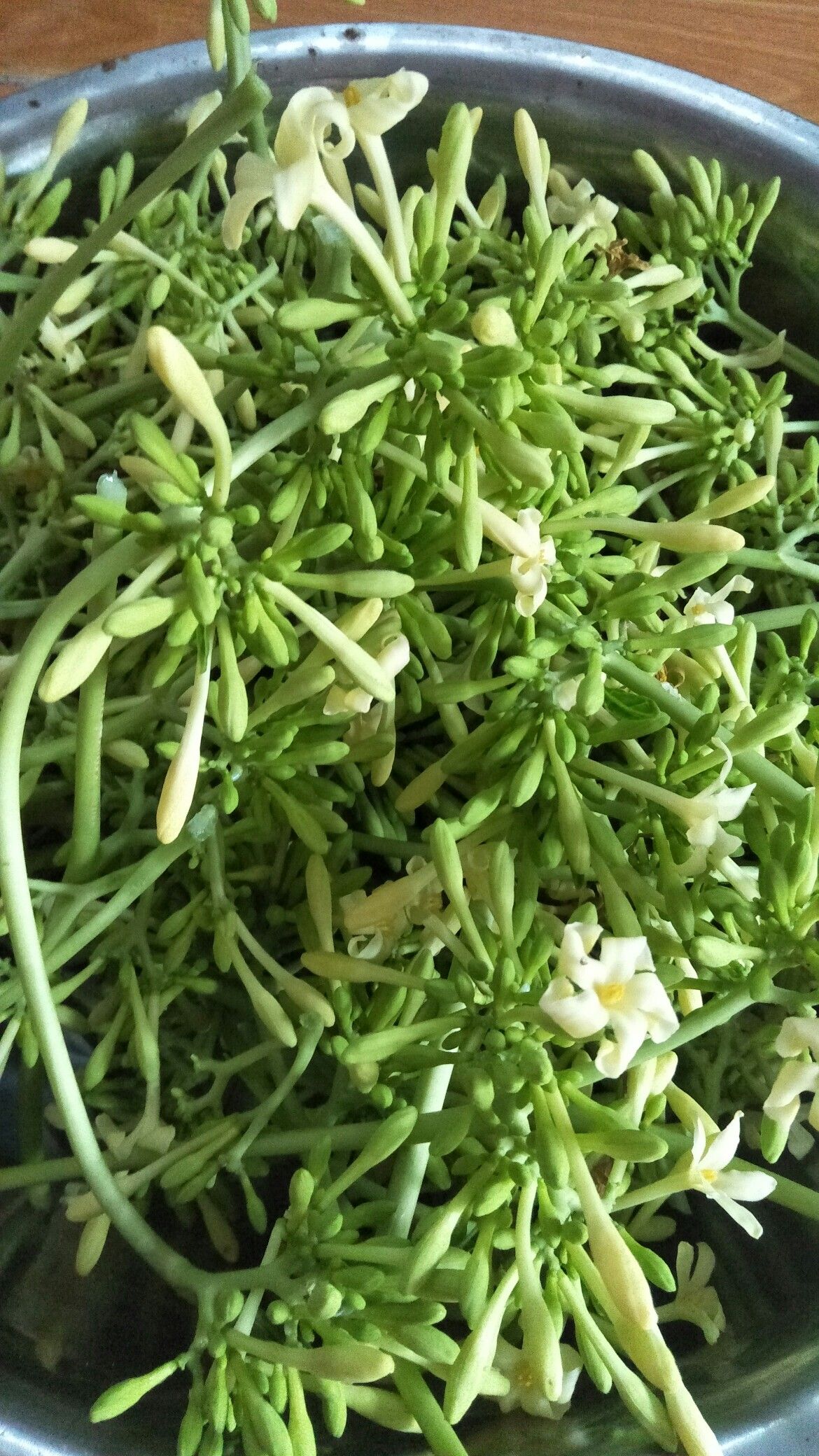 5 "cực phẩm" 0 đồng ngay trong vườn nh&agrave;: Những m&oacute;n ăn thanh tao c&aacute;c cụ xưa tr&acirc;n qu&yacute;, con ch&aacute;u nay lại bỏ ph&iacute; - Ảnh 2.