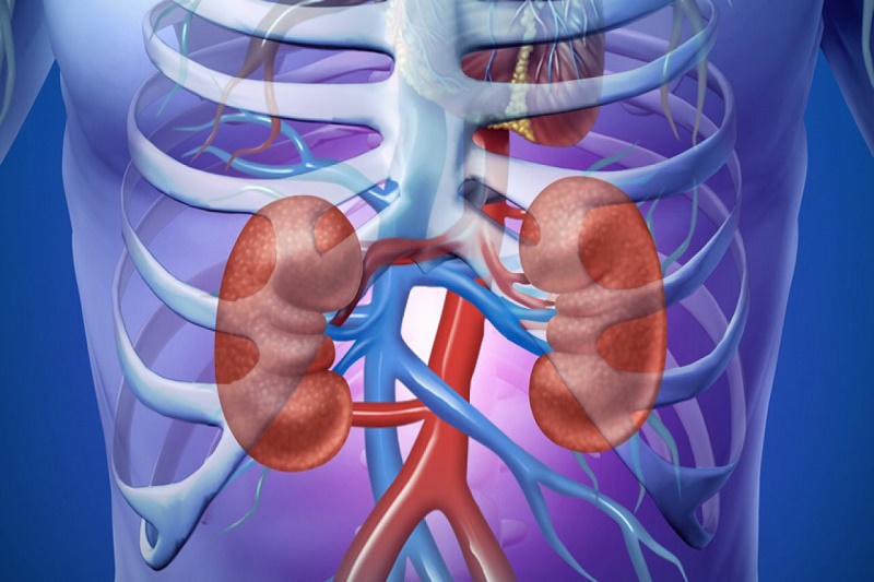 Thiếu nữ sinh 19 tuổi suy thận cấp, men gan tăng cao thừa nhận mắc sai lầm này trong lúc giảm cân - Ảnh 2.