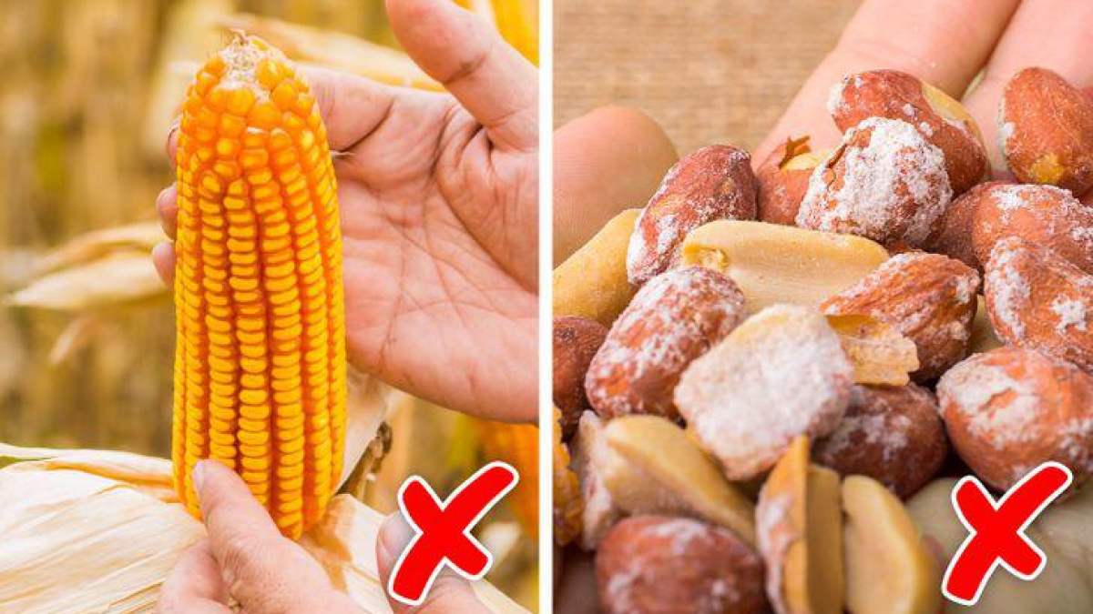 5 kiểu ăn uống âm thầm nuôi ung thư dạ dày, nhiều người vẫn lặp lại mỗi ngày - Ảnh 3.