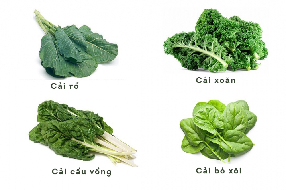 5 loại rau l&aacute; xanh hỗ trợ chức năng tuyến gi&aacute;p- Ảnh 1.