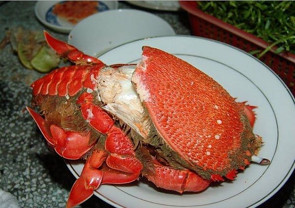Mũi N&eacute; - thi&ecirc;n đường ẩm thực biển xanh , c&aacute;t trắng cho kỳ nghỉ lễ 2026 - Ảnh 4.