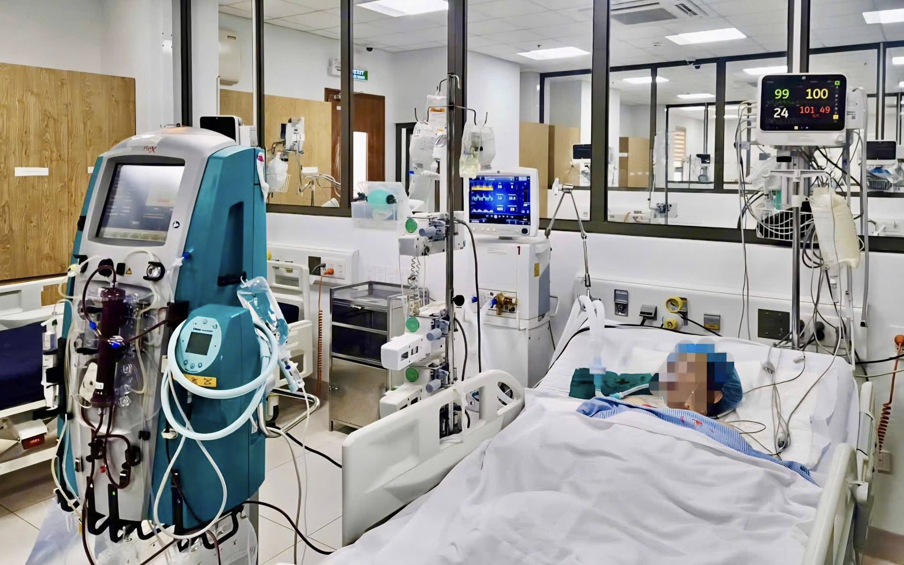 2 người tử vong v&igrave; vi&ecirc;m gan, suy gan cấp, suy đa tạng nguy kịch v&igrave; sai lầm khi ăn nấm tự h&aacute;i - Ảnh 2.