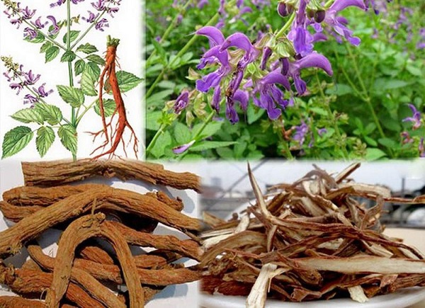 Người bệnh tim mạch cần lưu ý gì trong mùa nắng nóng? - Ảnh 4. Người bệnh tim mạch cần lưu ý gì trong mùa nắng nóng? - Ảnh 4.