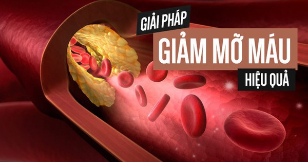 Ăn phải gi&aacute; đỗ chứa h&oacute;a chất độc hại nguy hiểm ra sao? C&aacute;ch chọn gi&aacute; sạch ai cũng n&ecirc;n biết - Ảnh 3.