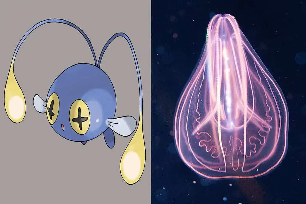 chinchou-and-comb-jelly-1024x683-1775175428363-17751754286302092784663.jpg
