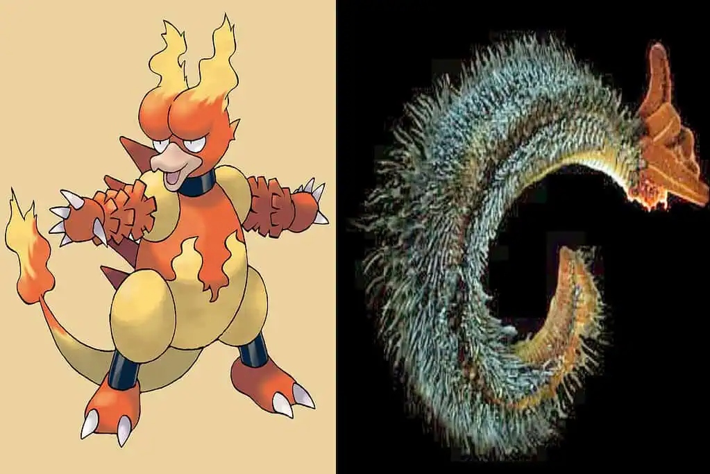 magmar-and-pompei-worm-1024x683-1775175426049-1775175426268447566448.jpg