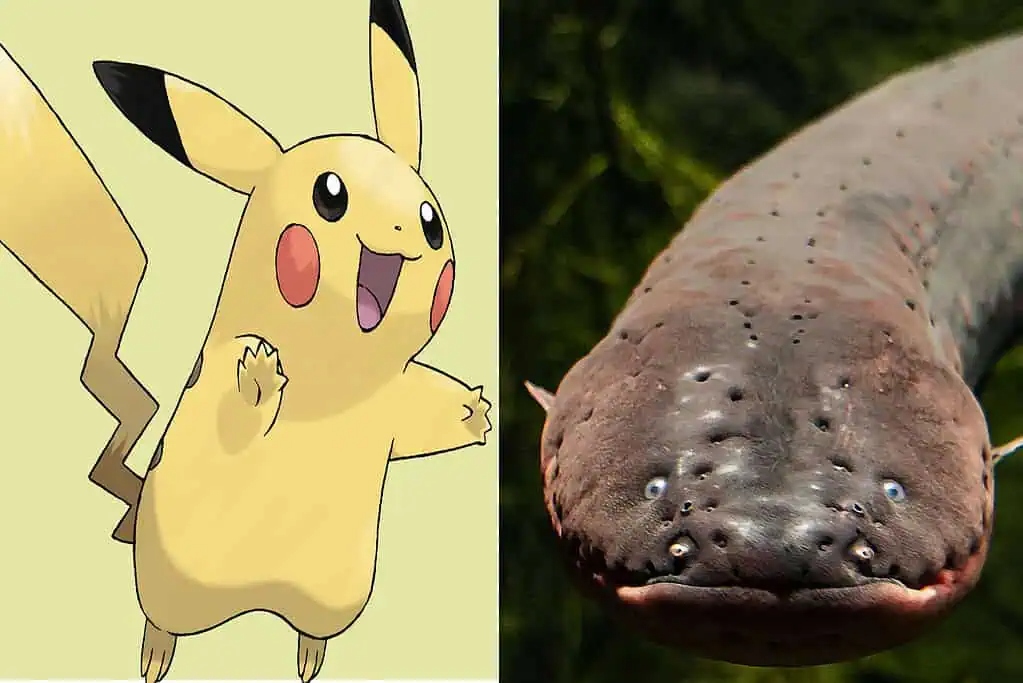 pikachu-and-electric-eel-pokemon-1775175423220-17751754237401946396122.jpg