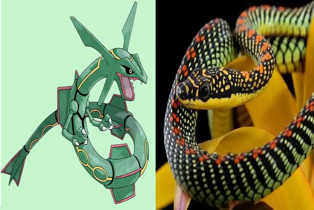 rayquaza-and-flying-snake-1024x6-1775175427567-17751754277541765053995.jpg