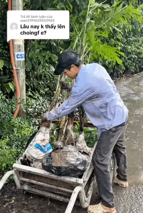 Chồng Quỳnh Lương sao lạ thế n&agrave;y: Thiếu gia Tr&agrave; Vinh trong ch&iacute;nh resort ngh&igrave;n tỷ của m&igrave;nh m&agrave; &iacute;t ai nhận ra - Ảnh 3.