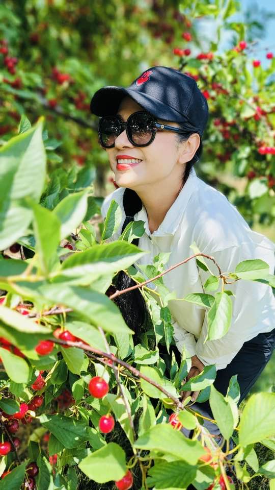 Việt Trinh - Ảnh 11. Việt Trinh - Ảnh 11.