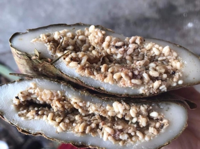 Thưởng thức b&aacute;nh trứng kiến đang hot: Người khen ngon, người nhập viện v&igrave; sốc phản vệ - Ảnh 4.