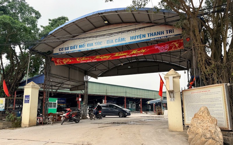 Vụ gần 300 tấn thịt lợn nhiễm dịch tả châu Phi: Ngoài Công ty Suất ăn Công nghiệp Hà Nội, thêm 3 công ty "tuồn" lợn bệnh vào 26 trường học