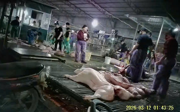 Ngăn chặn thực phẩm bẩn v&agrave;o trường học để bảo vệ sức khỏe thế hệ tương lai - Ảnh 6.