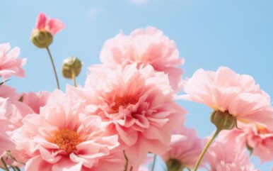 Giờ sinh &Acirc;m lịch của người phụ nữ sống nhẹ nh&agrave;ng: &Iacute;t thị phi, nhiều ph&uacute;c lộc