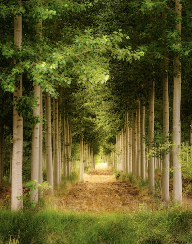 Số cuối ngày sinh Âm lịch của người hay giúp đỡ người khác: Càng chân thành càng nhiều lộc - Ảnh 2. Số cuối ngày sinh Âm lịch của người hay giúp đỡ người khác: Càng chân thành càng nhiều lộc - Ảnh 2.