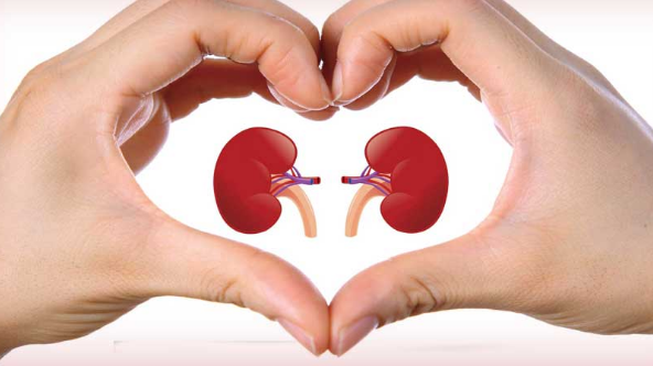 Người đ&agrave;n &ocirc;ng 35 tuổi bị suy giảm chức năng thận v&igrave; bỏ qua 1 dấu hiệu nhiều người Việt mắc phải - Ảnh 2.