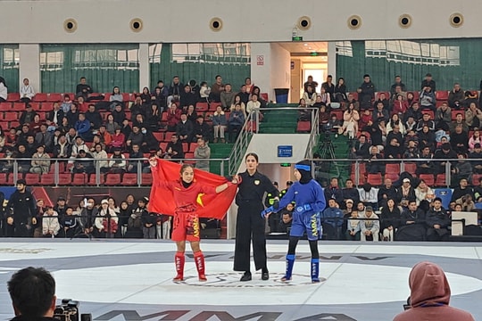 Festival võ thuật quốc tế Hà Nội 2026 tổ chức ngày nào và những điều đáng chú ý - Ảnh 2. Festival võ thuật quốc tế Hà Nội 2026 tổ chức ngày nào và những điều đáng chú ý - Ảnh 2.