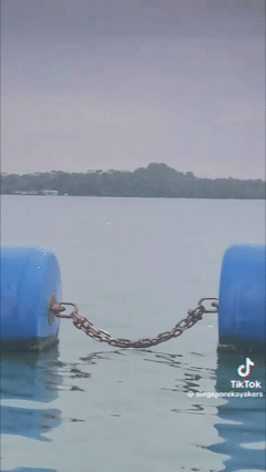 thuy-quai-5-17754496792822071615962-1775521013421-17755210137251942895716.gif