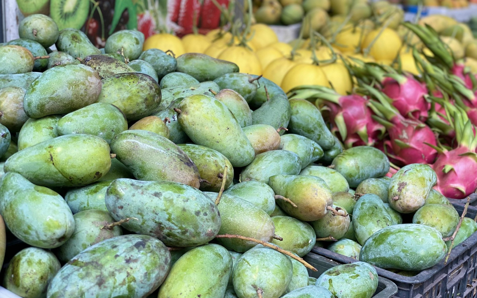 Một loại xo&agrave;i Việt đang b&aacute;n đầy chợ gi&aacute; chỉ hơn chục ngh&igrave;n đồng/kg, tiểu thương ti&ecirc;u thụ h&agrave;ng tạ mỗi ng&agrave;y ai nh&igrave;n cũng muốn mua