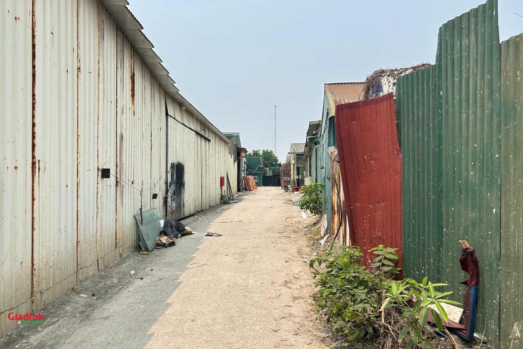 Hà Nội: Hàng loạt nhà xưởng trái phép trên đất nông nghiệp tại phường Thanh Liệt đã bị cắt điện - Ảnh 3. Hà Nội: Hàng loạt nhà xưởng trái phép trên đất nông nghiệp tại phường Thanh Liệt đã bị cắt điện - Ảnh 3.