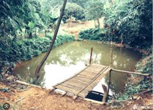 Những đại kỵ cần tr&aacute;nh trong phong thủy sau nh&agrave; - Ảnh 1.