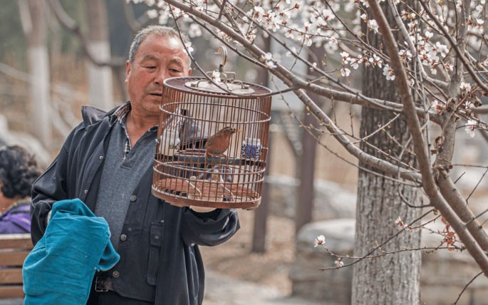 C&atilde;i v&atilde; với con d&acirc;u, t&ocirc;i t&igrave;m ra c&aacute;ch sống để tuổi gi&agrave; an y&ecirc;n, dễ thở hơn