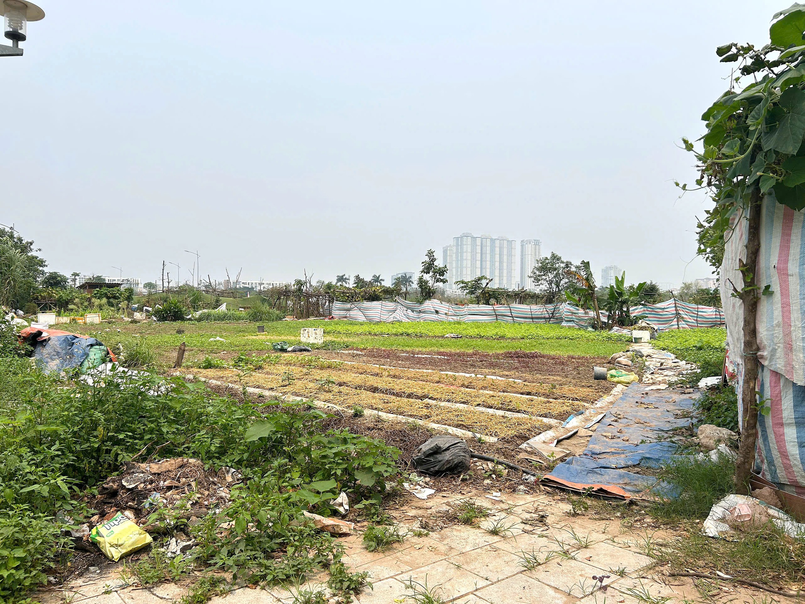 C&ocirc;ng vi&ecirc;n Chu Văn An: Dự &aacute;n khu tưởng niệm Danh nh&acirc;n v&agrave; thực trạng hiện tại - Ảnh 3.