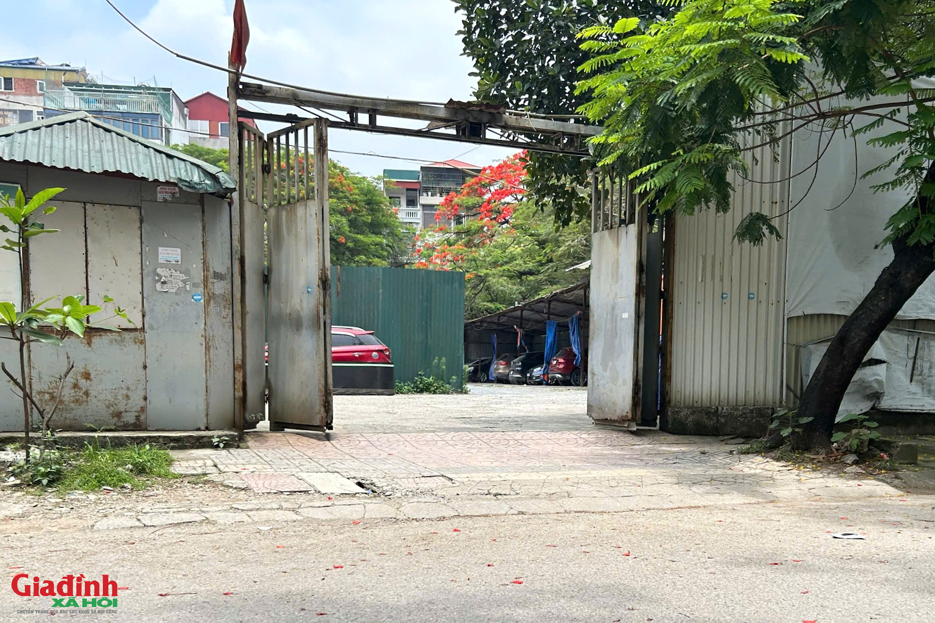H&agrave; Nội: Đất dự &aacute;n Đền Lừ biến th&agrave;nh b&atilde;i xe sau 17 năm bỏ hoang - Ảnh 3.