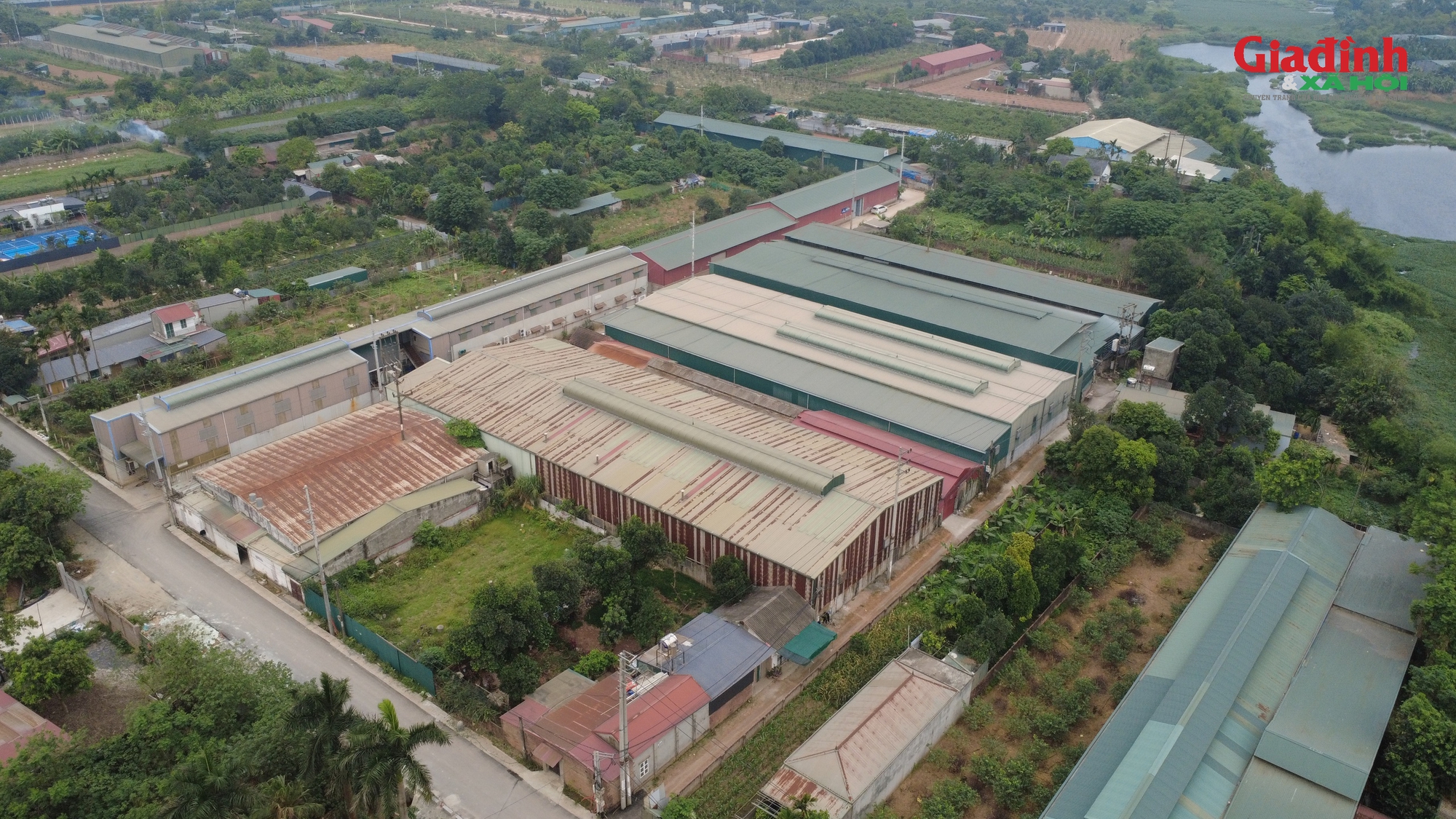 X&atilde; Quốc Oai quyết t&acirc;m xử l&yacute; dứt điểm vi phạm đất đai , PCCC tại khu Phượng C&aacute;ch - Ảnh 5.
