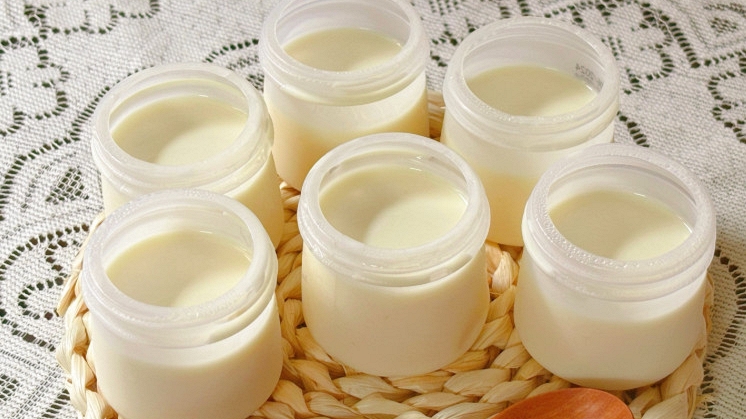 Lời khuyên cho người ăn sữa chua hàng ngày