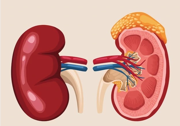 Người đ&agrave;n &ocirc;ng 49 tuổi suy thận giai đoạn cuối thừa nhận 2 sai lầm nhiều người Việt mắc phải - Ảnh 2.