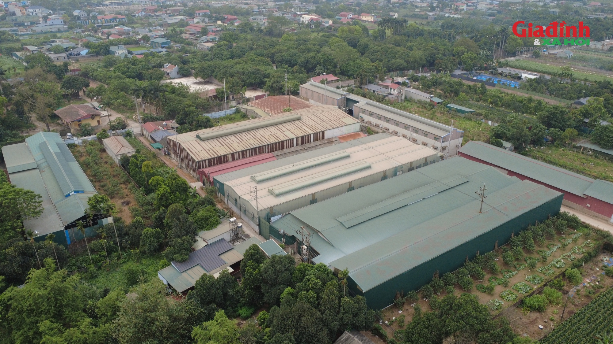 UBND x&atilde; Quốc Oai l&ecirc;n kế hoạch xử l&yacute; vi phạm nh&agrave; xưởng tại Phượng C&aacute;ch , Sơn Trung - Ảnh 2.