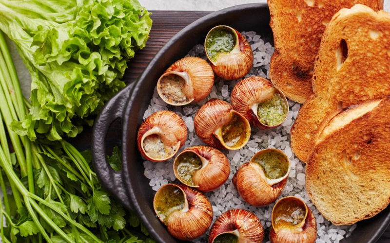 Escargot - món ốc sên đặc sản Pháp được lòng Tăng Thanh Hà - Ảnh 5. Escargot - món ốc sên đặc sản Pháp được lòng Tăng Thanh Hà - Ảnh 5.