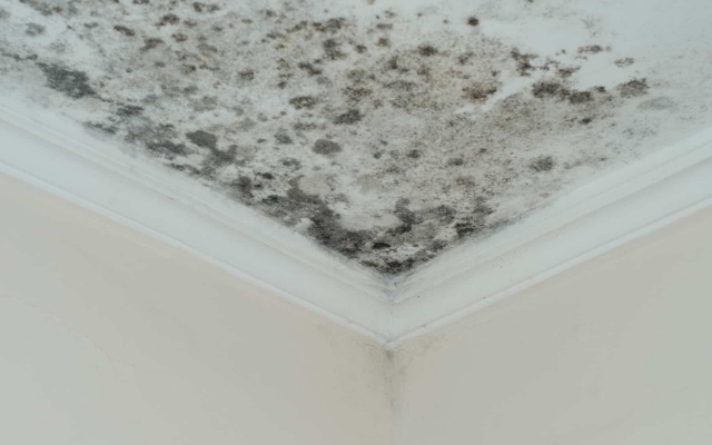 Tuyệt chiêu dọn bếp 15 phút mỗi ngày dành cho người bận rộn - Ảnh 4. Tuyệt chiêu dọn bếp 15 phút mỗi ngày dành cho người bận rộn - Ảnh 4.
