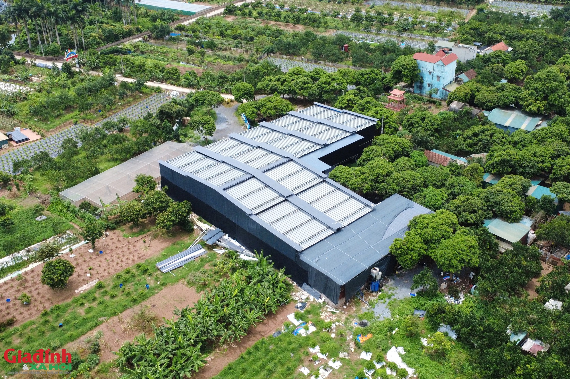 H&agrave; Nội: Sai phạm biến đất n&ocirc;ng nghiệp th&agrave;nh s&acirc;n thể thao khủng ở Y&ecirc;n Nghĩa - Ảnh 3.