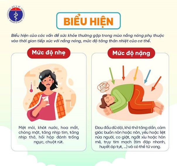Li&ecirc;n tiếp nhập viện v&igrave; sốc nhiệt: H&ocirc;n m&ecirc; s&acirc;u, suy đa tạng sau khi l&agrave;m việc ngo&agrave;i trời nắng n&oacute;ng - Ảnh 3.