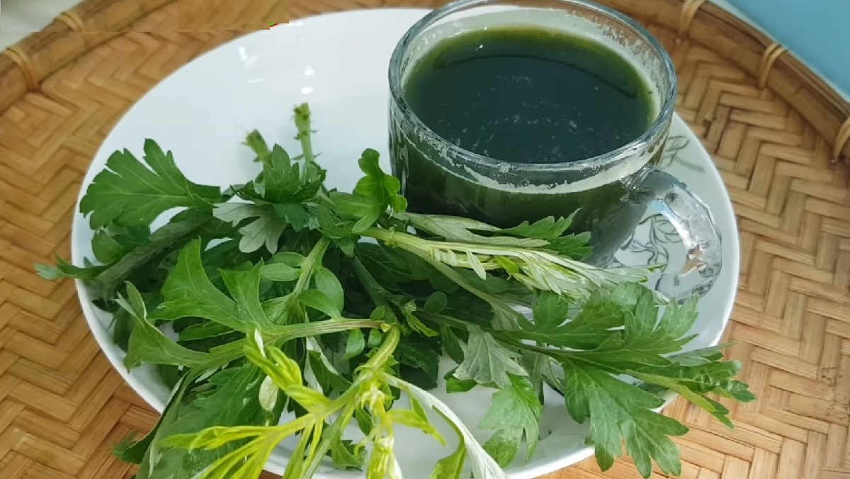 V&igrave; sao ăn 3 lọai cỏ dại m&ugrave;a h&egrave; gi&uacute;p bạn khỏe mạnh v&agrave; &iacute;t gặp b&aacute;c sĩ? - Ảnh 10.
