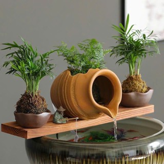 5 Mẹo phong thủy gi&uacute;p nh&agrave; m&aacute;t hơn ng&agrave;y h&egrave; , dễ chịu v&agrave; h&uacute;t t&agrave;i lộc - Ảnh 3.