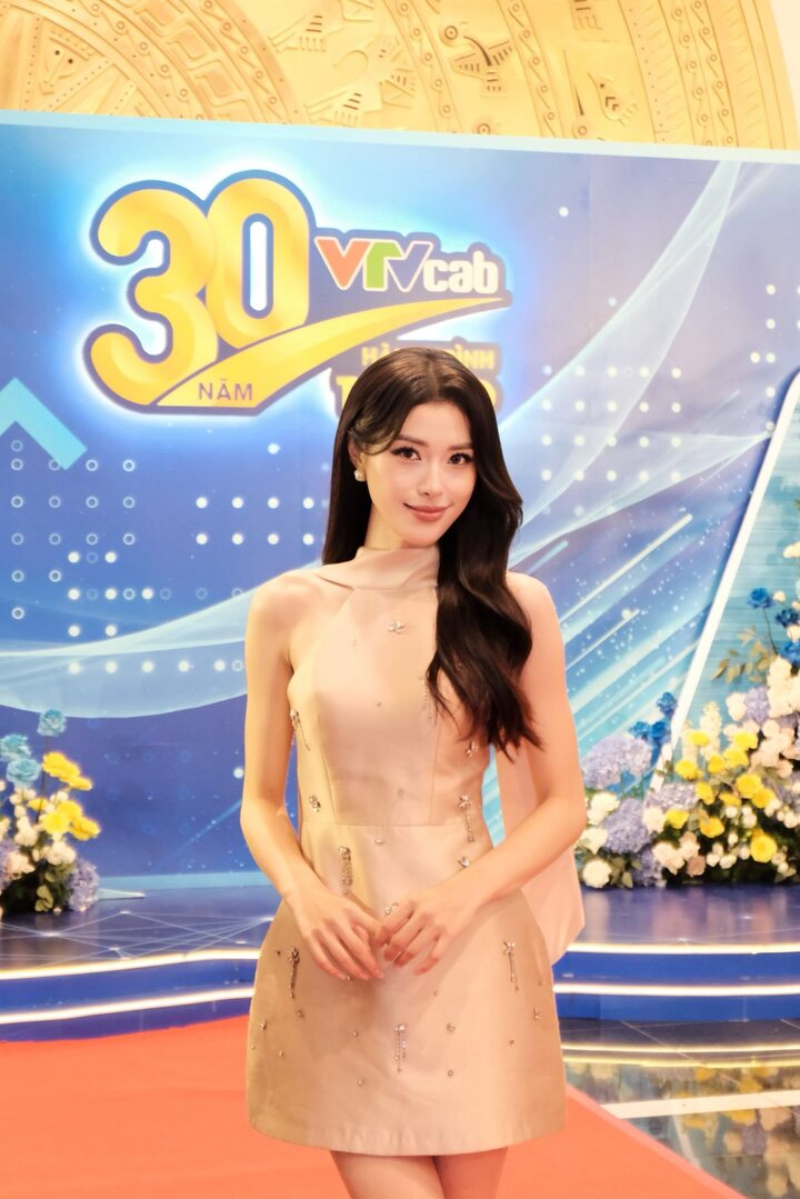 Nhan sắc nữ MC VTV l&agrave; hoa kh&ocirc;i b&oacute;ng chuyền, lọt top 10 hoa hậu Ho&agrave;n vũ Việt Nam - Ảnh 6.