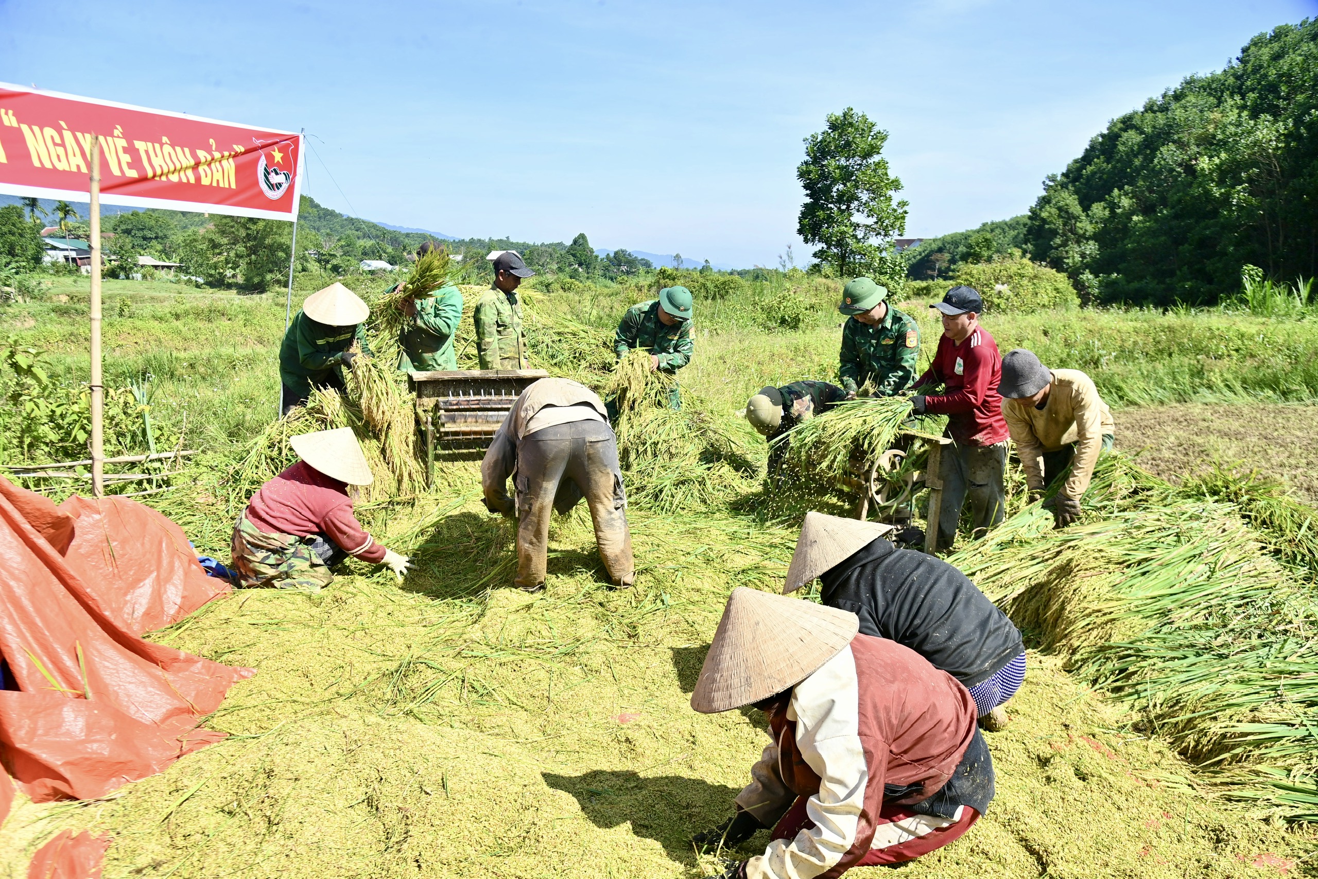 C&ocirc;ng an, bi&ecirc;n ph&ograve;ng xuống đồng gi&uacute;p d&acirc;n thu hoạch l&uacute;a trước thời tiết bất lợi - Ảnh 7.