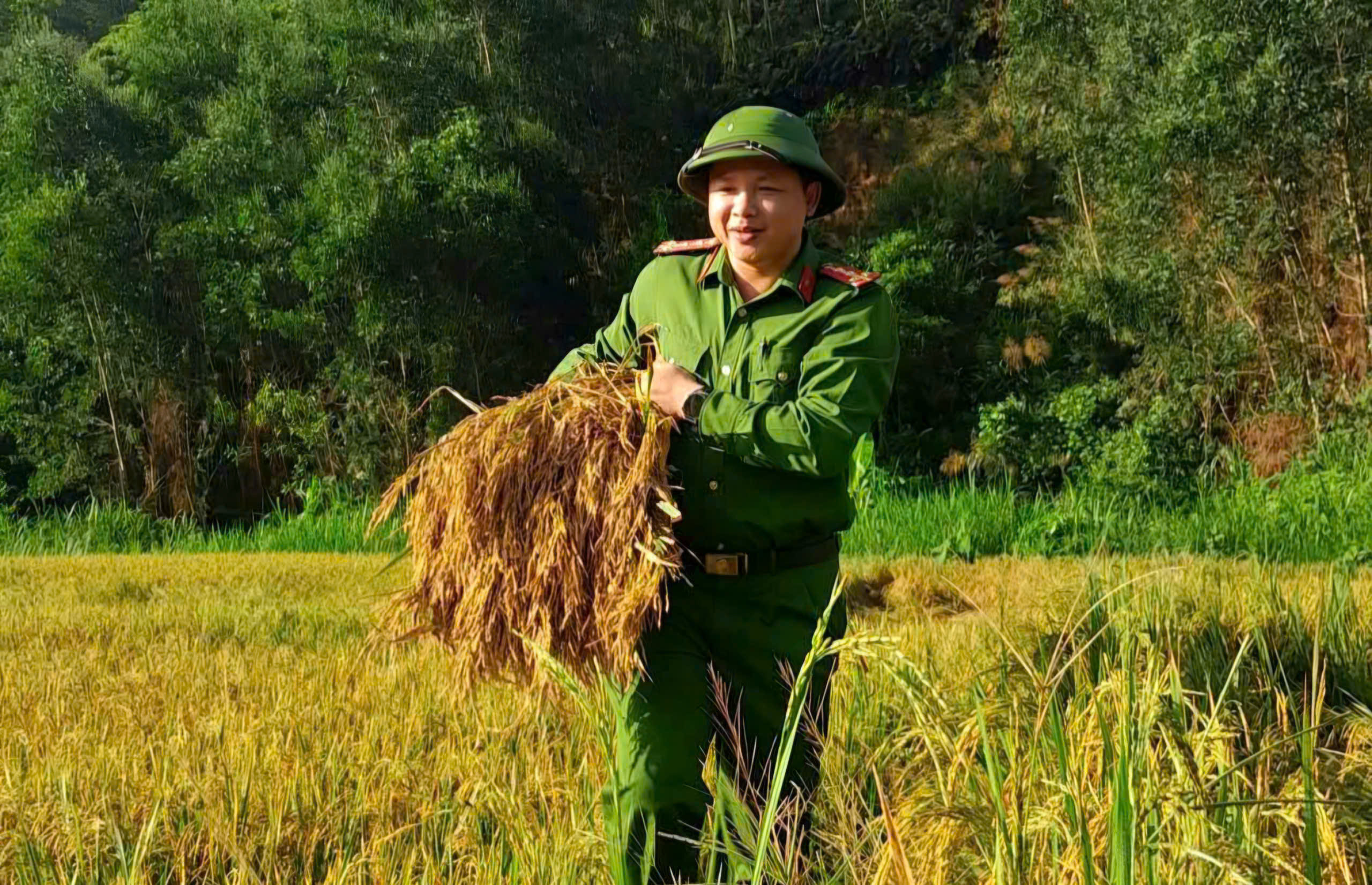 C&ocirc;ng an, bi&ecirc;n ph&ograve;ng xuống đồng gi&uacute;p d&acirc;n thu hoạch l&uacute;a trước thời tiết bất lợi - Ảnh 4.