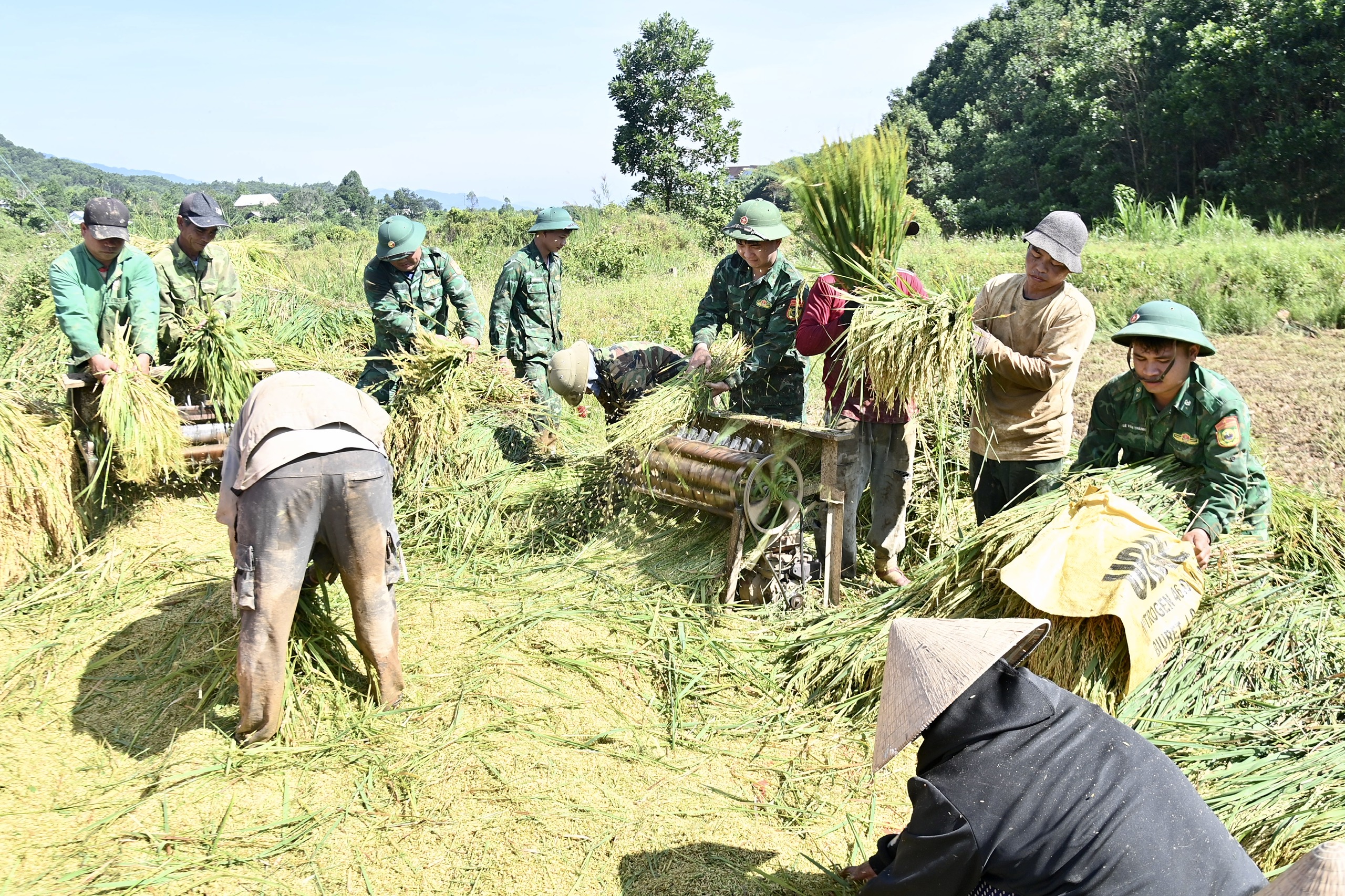 C&ocirc;ng an, bi&ecirc;n ph&ograve;ng xuống đồng gi&uacute;p d&acirc;n thu hoạch l&uacute;a trước thời tiết bất lợi - Ảnh 9.