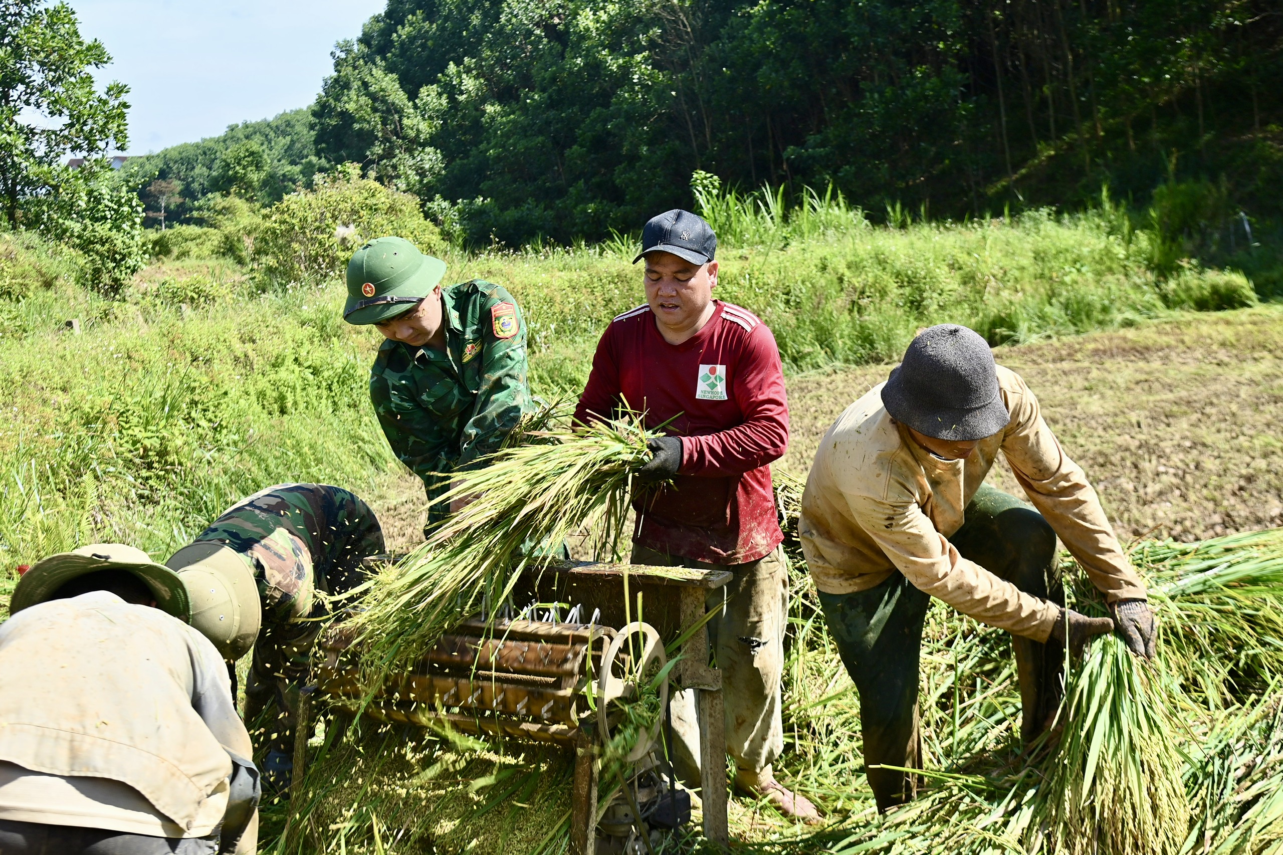 C&ocirc;ng an, bi&ecirc;n ph&ograve;ng xuống đồng gi&uacute;p d&acirc;n thu hoạch l&uacute;a trước thời tiết bất lợi - Ảnh 8.